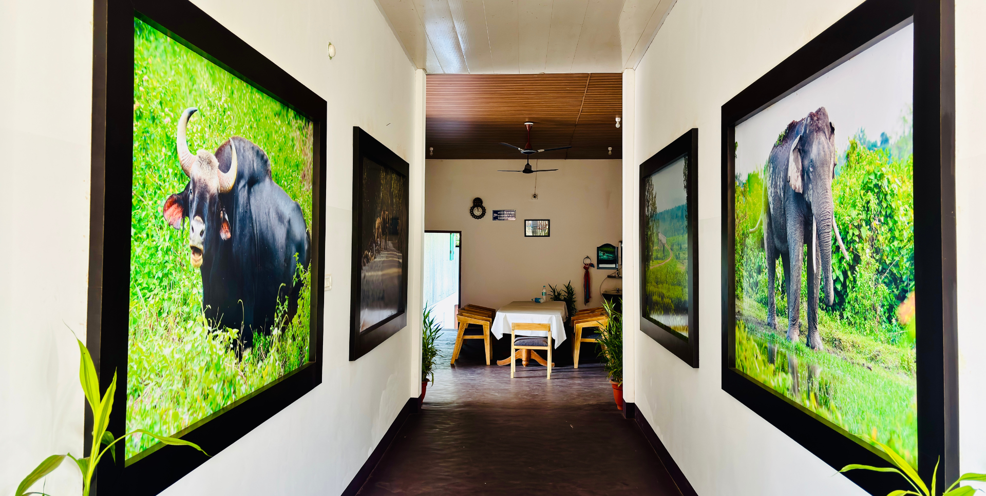 Untitled design - 2026-01-09T121448.223