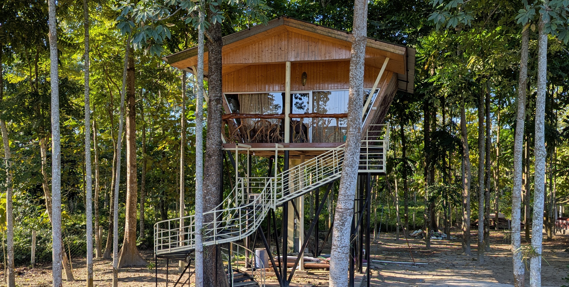 Untitled design - 2026-01-09T122619.551