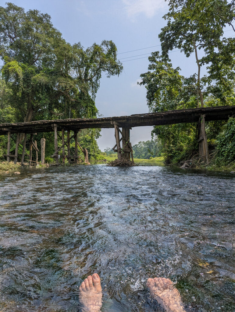 PXL_20260520_075836142